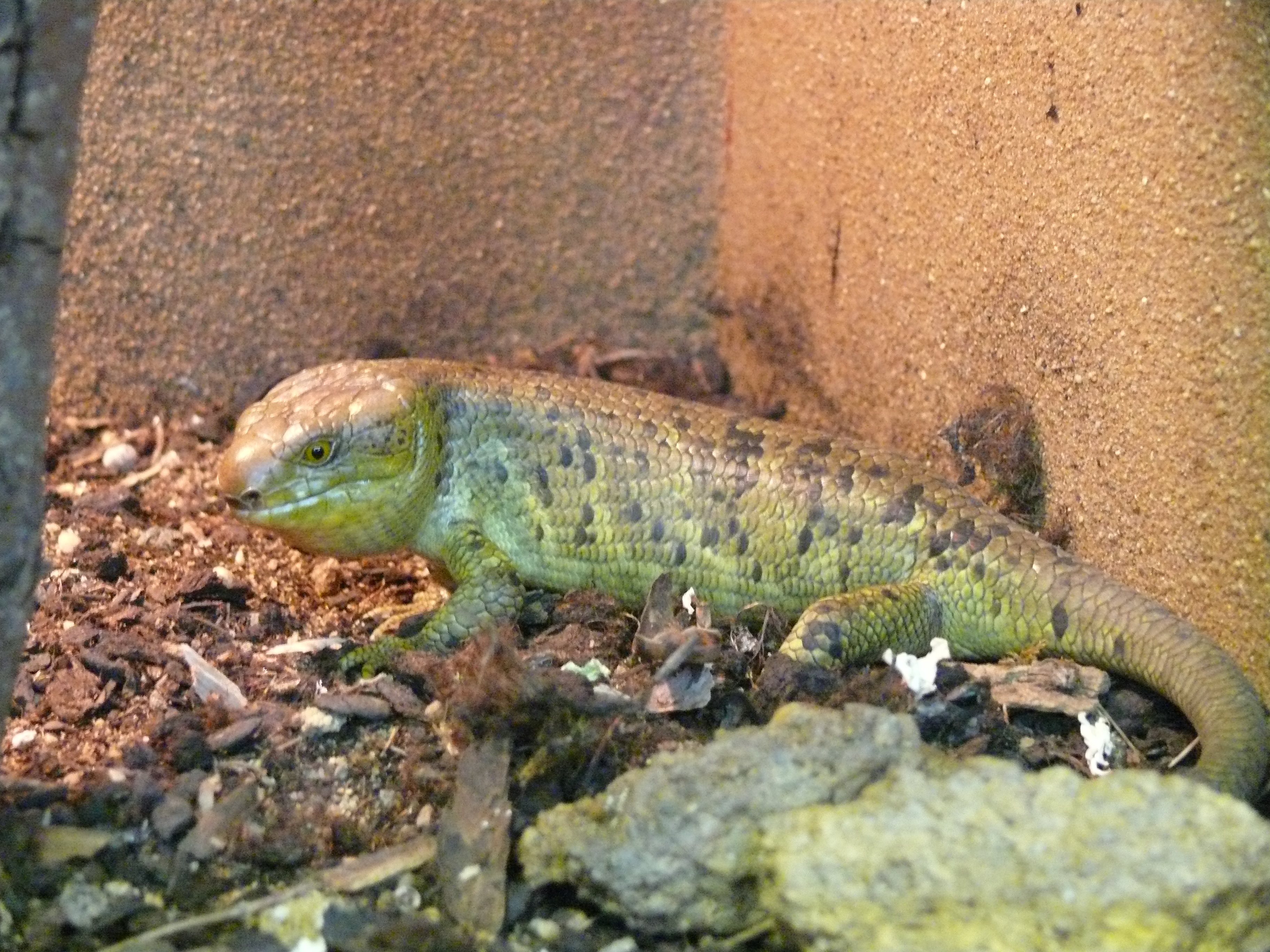 Snímek 065